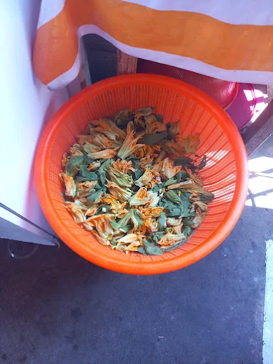 Flores de calabaza frescas listas para el relleno
